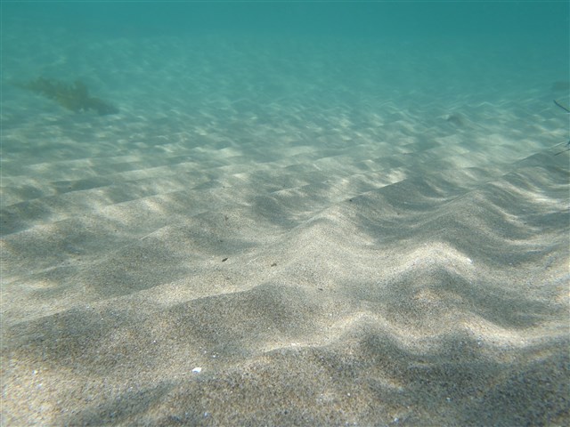 P6290008