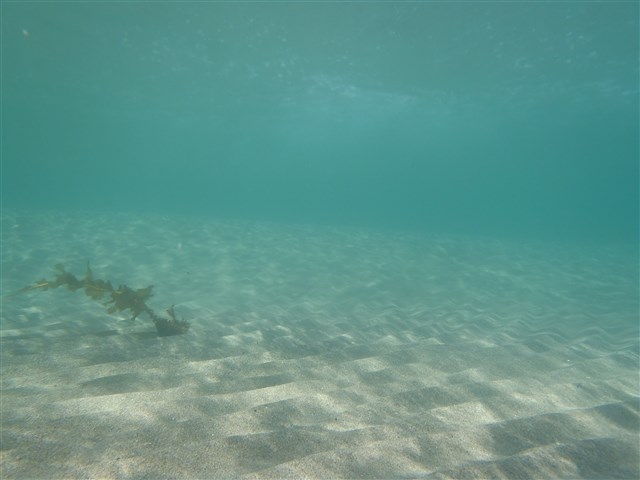 P6290009