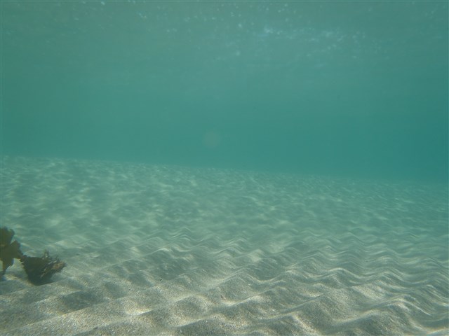 P6290010