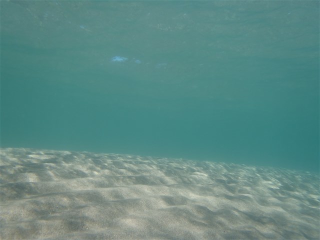 P6290026