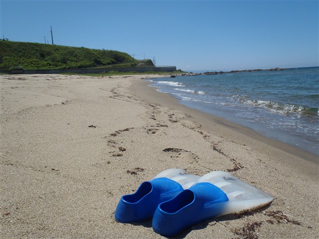 P6290035